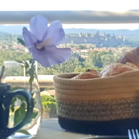 Panorama & 4* Καρκασόν